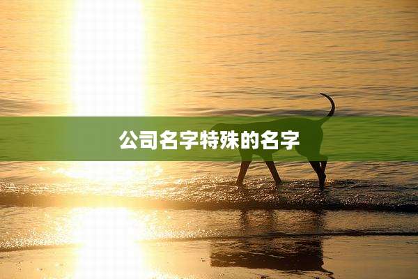 公司名字特殊的名字