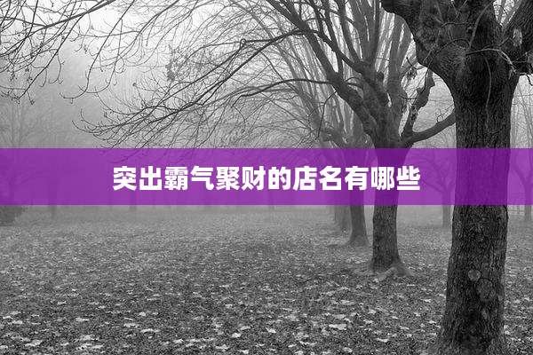 突出霸气聚财的店名有哪些