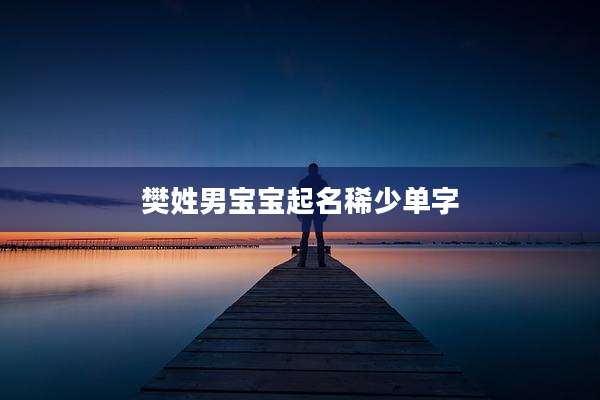 樊姓男宝宝起名稀少单字