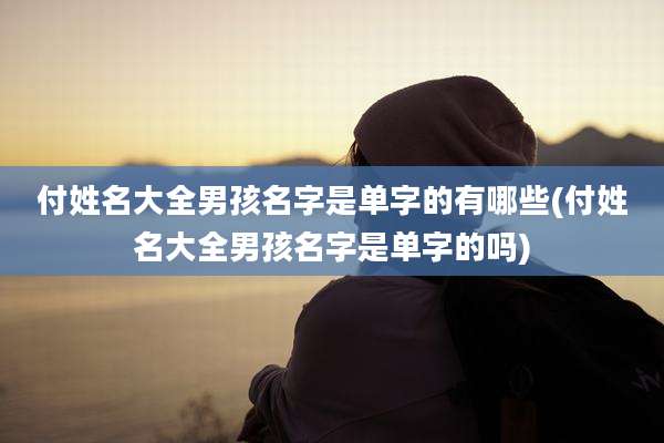 付姓名大全男孩名字是单字的有哪些(付姓名大全男孩名字是单字的吗)