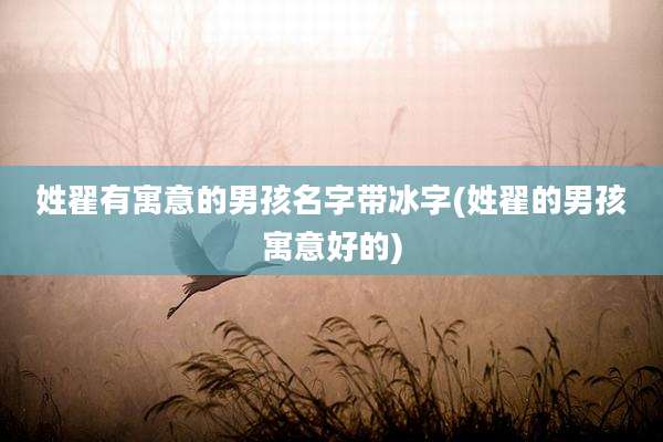 姓翟有寓意的男孩名字带冰字(姓翟的男孩寓意好的)