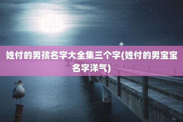 姓付的男孩名字大全集三个字(姓付的男宝宝名字洋气)