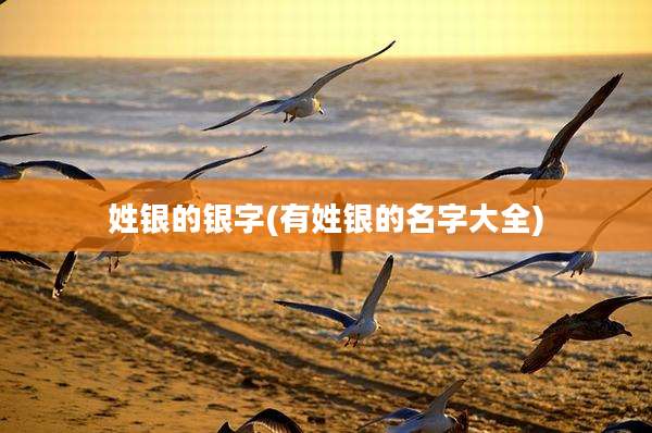 姓银的银字(有姓银的名字大全)