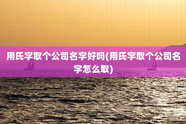 用氏字取个公司名字好吗(用氏字取个公司名字怎么取)