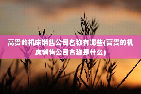 高贵的机床销售公司名称有哪些(高贵的机床销售公司名称是什么)