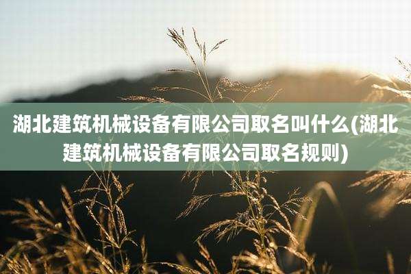 湖北建筑机械设备有限公司取名叫什么(湖北建筑机械设备有限公司取名规则)
