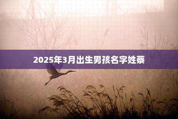 2025年3月出生男孩名字姓蔡