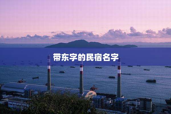 带东字的民宿名字