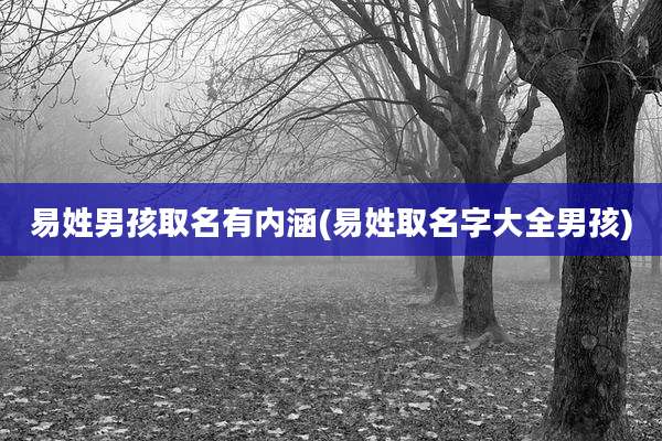 易姓男孩取名有内涵(易姓取名字大全男孩)