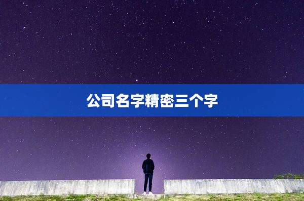 公司名字精密三个字