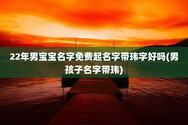 22年男宝宝名字免费起名字带玮字好吗(男孩子名字带玮)