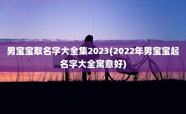 男宝宝取名字大全集2023(2022年男宝宝起名字大全寓意好)