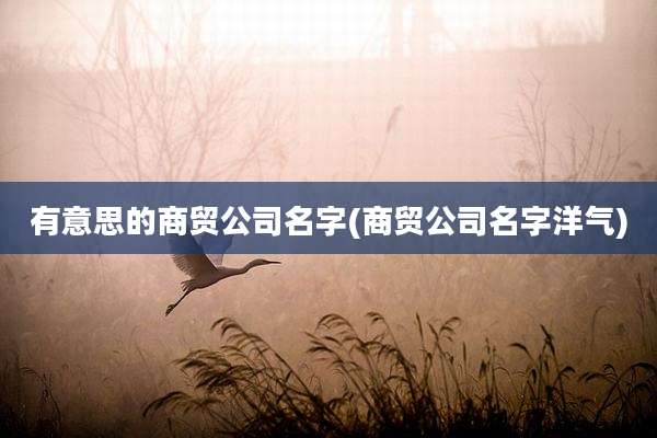 有意思的商贸公司名字(商贸公司名字洋气)
