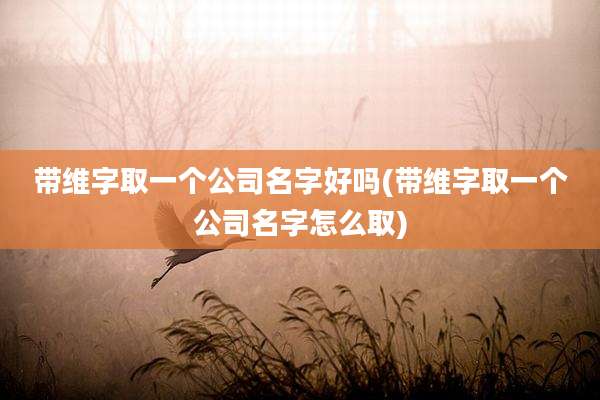 带维字取一个公司名字好吗(带维字取一个公司名字怎么取)