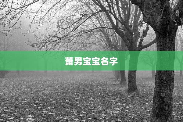 萧男宝宝名字