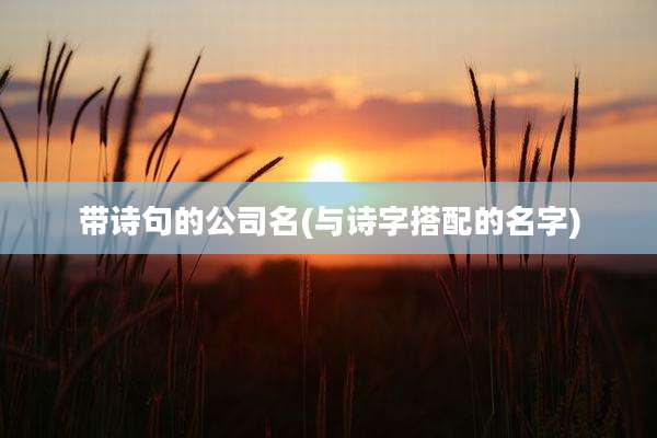 带诗句的公司名(与诗字搭配的名字)