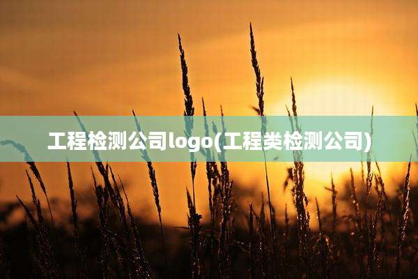 工程检测公司logo(工程类检测公司)