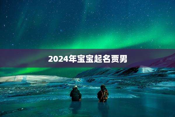 2024年宝宝起名贾男