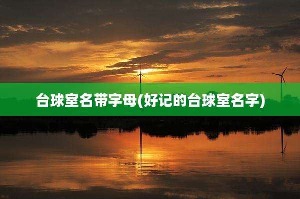 台球室名带字母(好记的台球室名字)