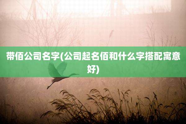 带佰公司名字(公司起名佰和什么字搭配寓意好)