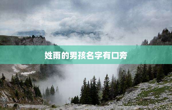 姓雨的男孩名字有口旁