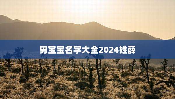 男宝宝名字大全2024姓薛