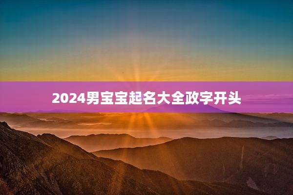 2024男宝宝起名大全政字开头