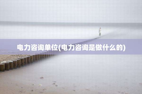 电力咨询单位(电力咨询是做什么的)
