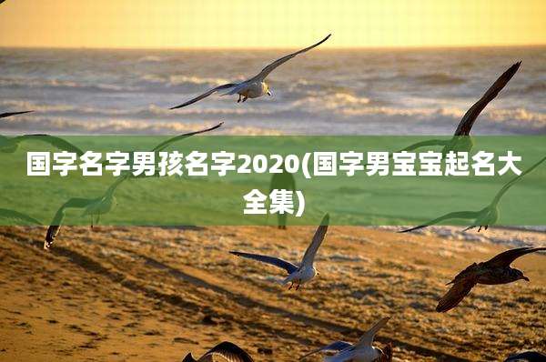 国字名字男孩名字2020(国字男宝宝起名大全集)