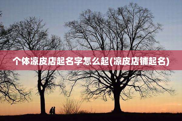 个体凉皮店起名字怎么起(凉皮店铺起名)