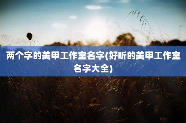 两个字的美甲工作室名字(好听的美甲工作室名字大全)