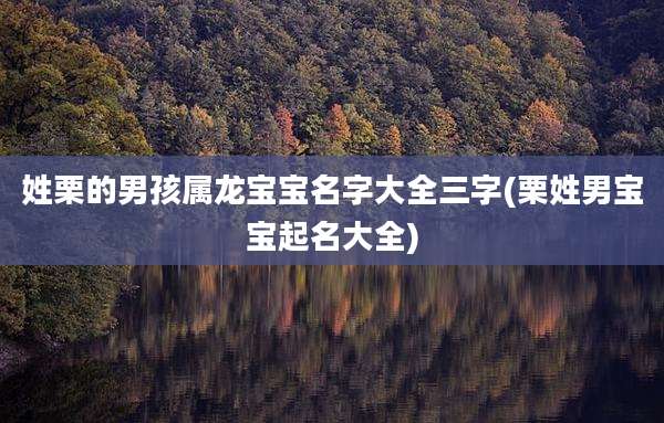 姓栗的男孩属龙宝宝名字大全三字(栗姓男宝宝起名大全)
