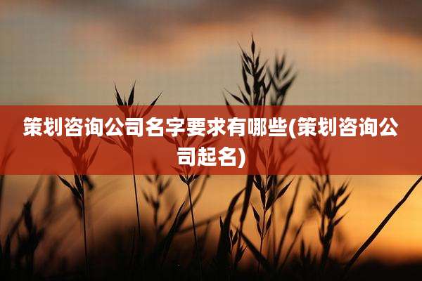 策划咨询公司名字要求有哪些(策划咨询公司起名)
