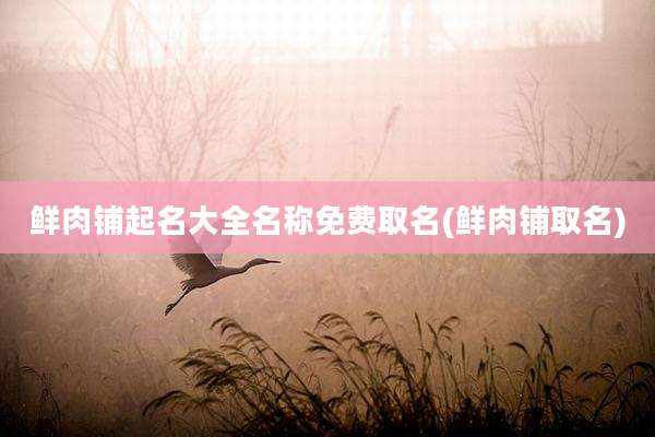 鲜肉铺起名大全名称免费取名(鲜肉铺取名)