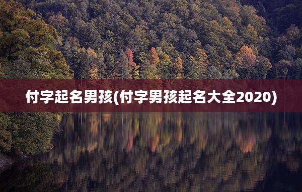 付字起名男孩(付字男孩起名大全2020)
