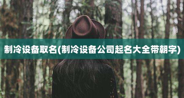 制冷设备取名(制冷设备公司起名大全带朝字)