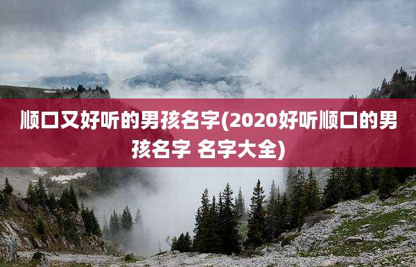 顺口又好听的男孩名字(2020好听顺口的男孩名字 名字大全)