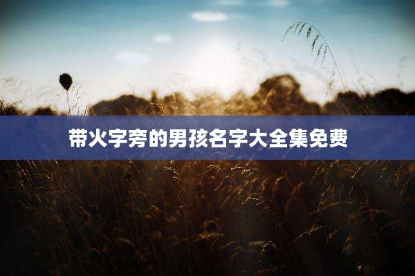 带火字旁的男孩名字大全集免费