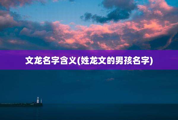 文龙名字含义(姓龙文的男孩名字)
