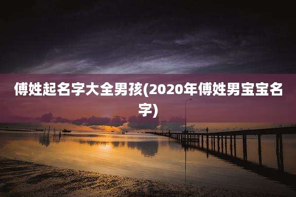 傅姓起名字大全男孩(2020年傅姓男宝宝名字)