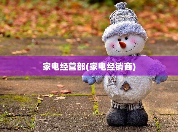 家电经营部(家电经销商)