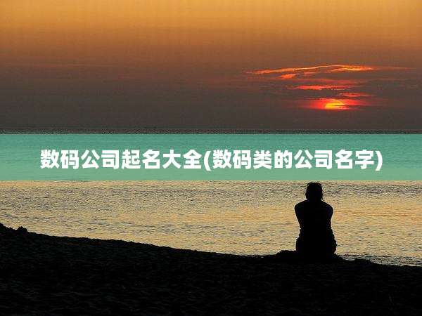 数码公司起名大全(数码类的公司名字)