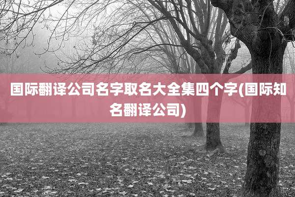 国际翻译公司名字取名大全集四个字(国际知名翻译公司)