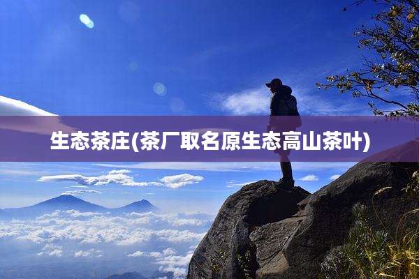 生态茶庄(茶厂取名原生态高山茶叶)