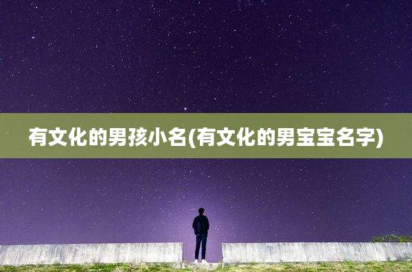 有文化的男孩小名(有文化的男宝宝名字)