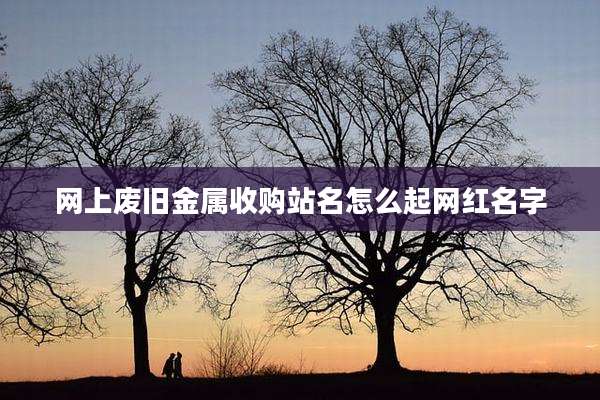 网上废旧金属收购站名怎么起网红名字
