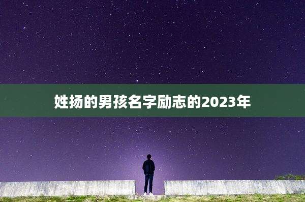 姓扬的男孩名字励志的2023年