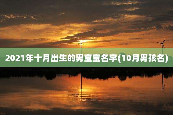 2021年十月出生的男宝宝名字(10月男孩名)