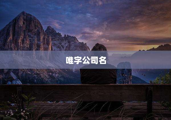 唯字公司名