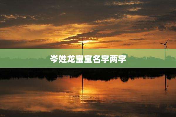 岑姓龙宝宝名字两字